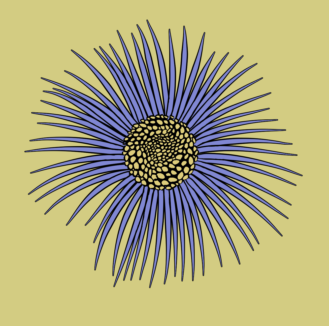 an aspen fleabane drawing on a yellow background. The flower has a central circular area filled with yellow and black patterns resembling small, irregularly shaped cells. Radiating out from the center are numerous long, thin petals that are blue with black outlines, giving the flower a spiky appearance. The overall design is simple and graphic, with a focus on bold colors and shapes.