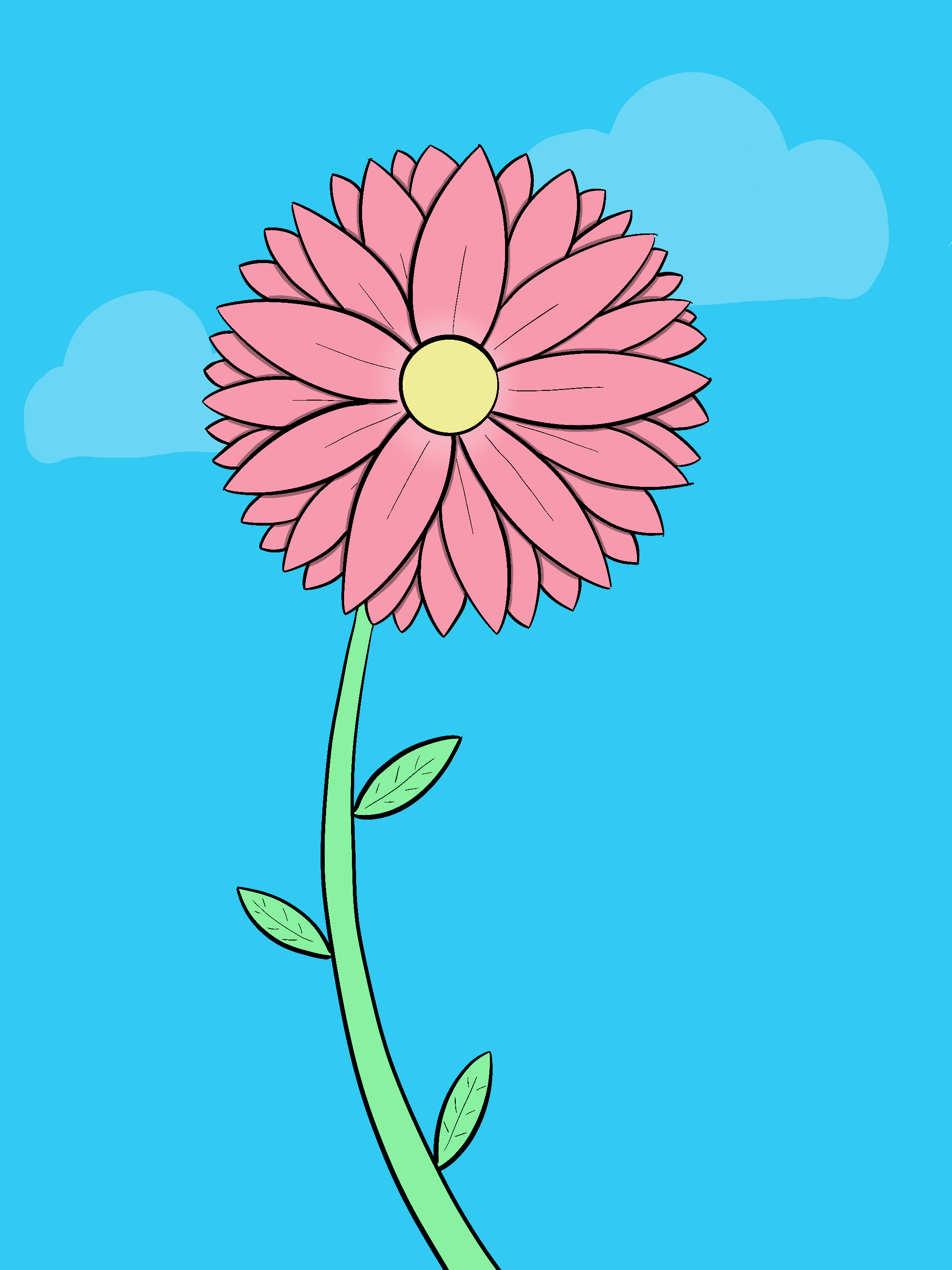 Very similar to the sunflower drawing but with pink petals