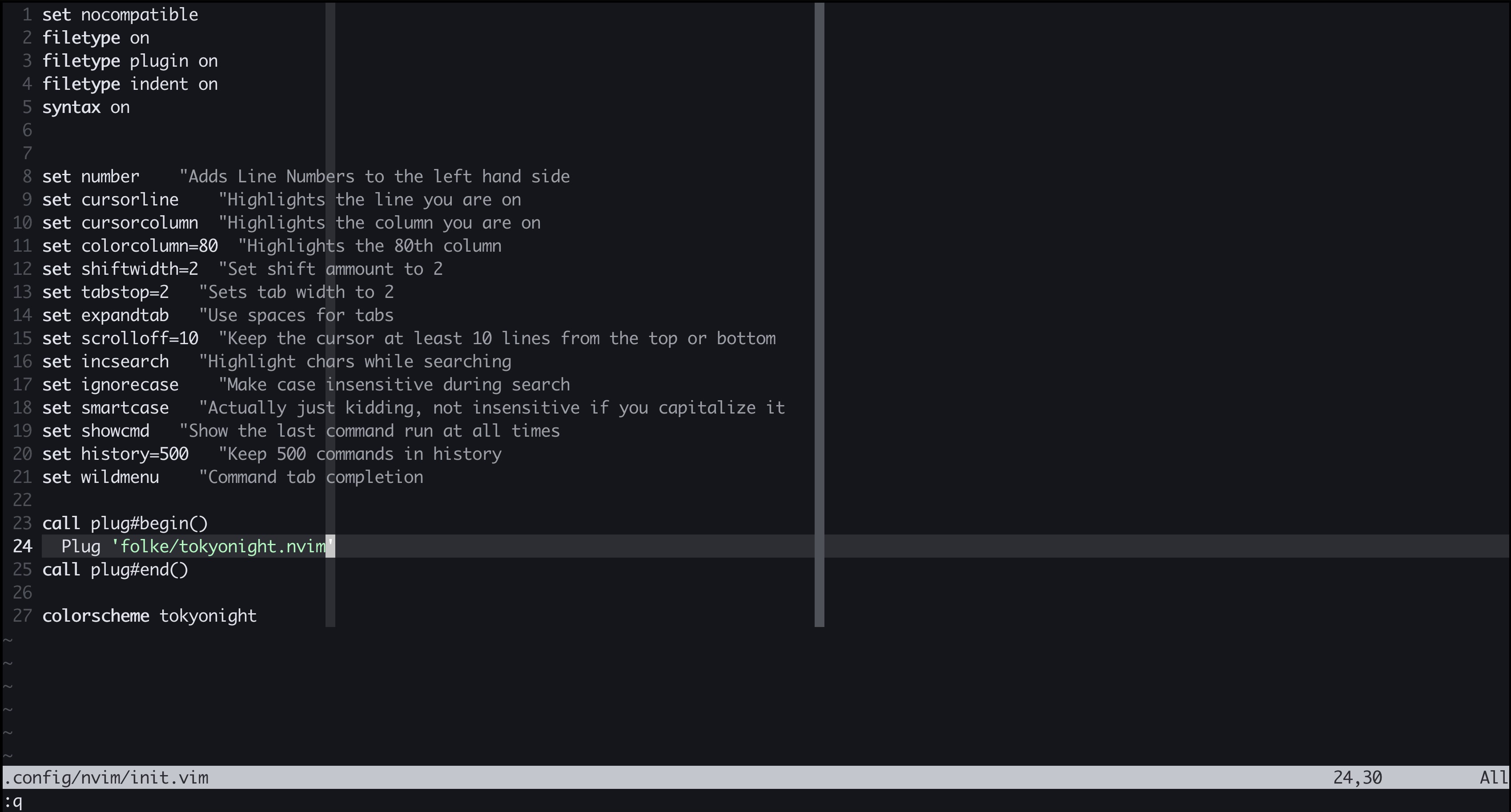 screenshot of .vimrc with vim-plug commands